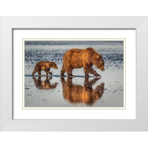 Beauty and the beast White Modern Wood Framed Art Print with Double Matting by Sink, Jeffrey C