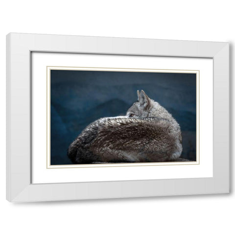 Rainy day eye White Modern Wood Framed Art Print with Double Matting by Itoyama, Eiji