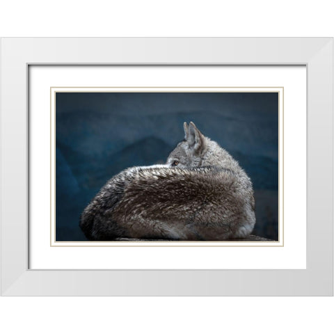 Rainy day eye White Modern Wood Framed Art Print with Double Matting by Itoyama, Eiji