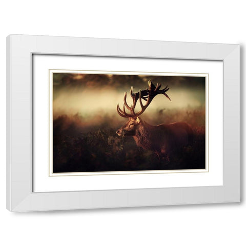 King White Modern Wood Framed Art Print with Double Matting by Fabrowski, Robert