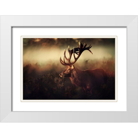 King White Modern Wood Framed Art Print with Double Matting by Fabrowski, Robert