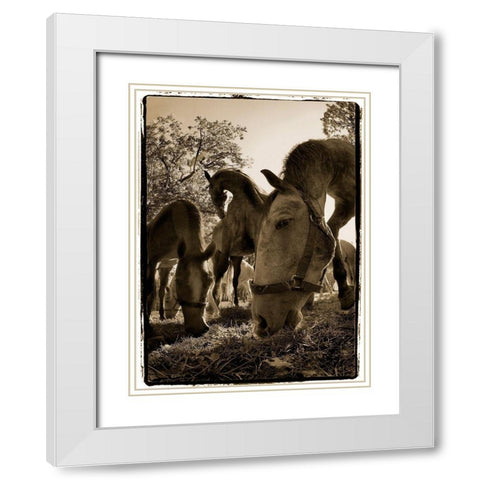 Chow Time White Modern Wood Framed Art Print with Double Matting by Malovrh, Milan