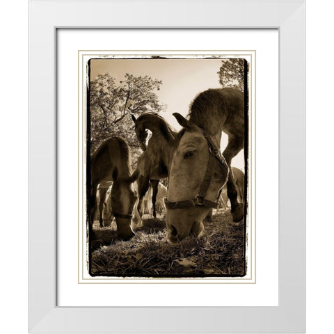 Chow Time White Modern Wood Framed Art Print with Double Matting by Malovrh, Milan