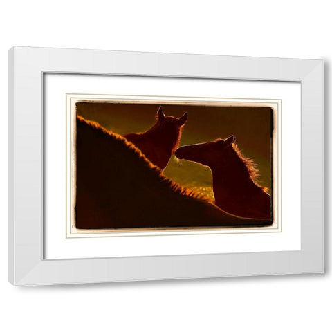 Kontour White Modern Wood Framed Art Print with Double Matting by Malovrh, Milan