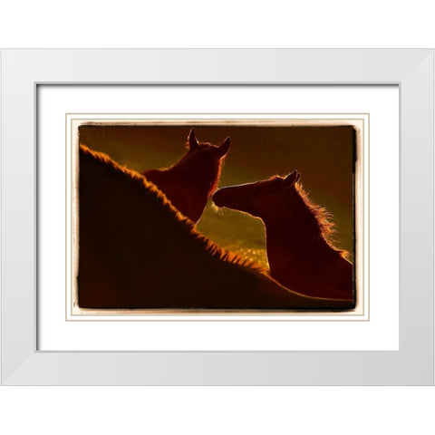 Kontour White Modern Wood Framed Art Print with Double Matting by Malovrh, Milan