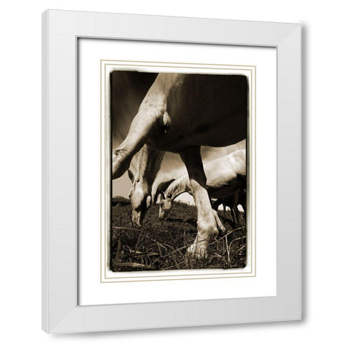 Promenade 2 White Modern Wood Framed Art Print with Double Matting by Malovrh, Milan