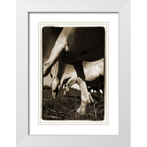 Promenade 2 White Modern Wood Framed Art Print with Double Matting by Malovrh, Milan