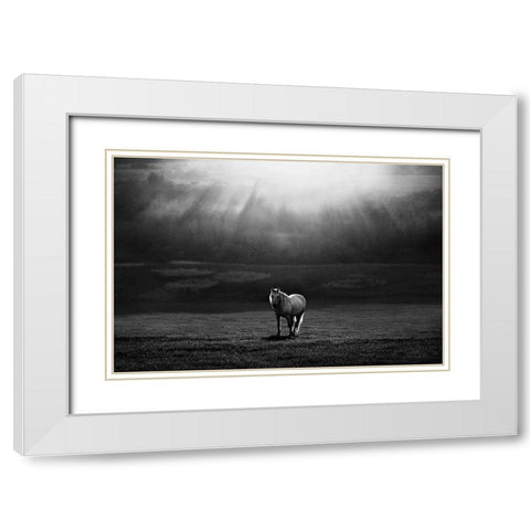 Morning Appearance White Modern Wood Framed Art Print with Double Matting by Svoboda MQEP, Peter