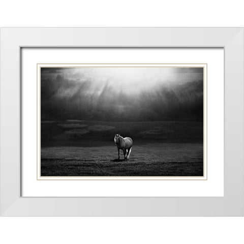 Morning Appearance White Modern Wood Framed Art Print with Double Matting by Svoboda MQEP, Peter