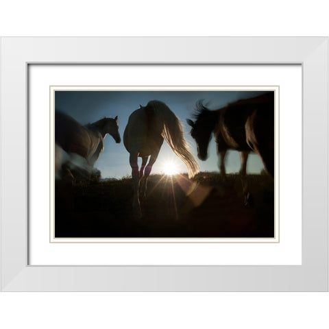 Sunrise White Modern Wood Framed Art Print with Double Matting by Malovrh, Milan