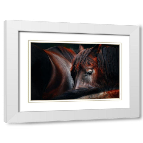 Sleep huddle White Modern Wood Framed Art Print with Double Matting by Stantchev, Martin