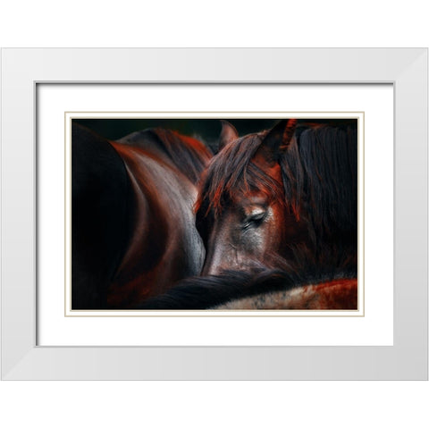 Sleep huddle White Modern Wood Framed Art Print with Double Matting by Stantchev, Martin