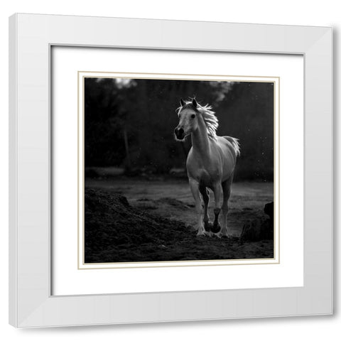 Coquetry White Modern Wood Framed Art Print with Double Matting by Al-Saeed, Abdullah