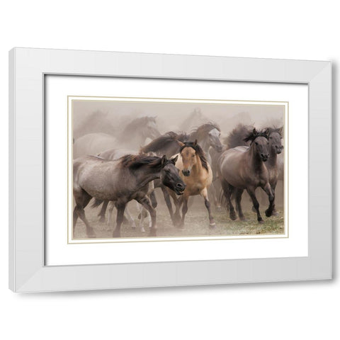 Wild Horses White Modern Wood Framed Art Print with Double Matting by Uhlig, Dieter
