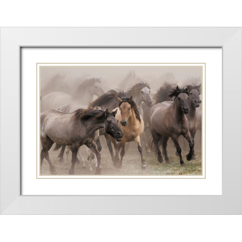 Wild Horses White Modern Wood Framed Art Print with Double Matting by Uhlig, Dieter