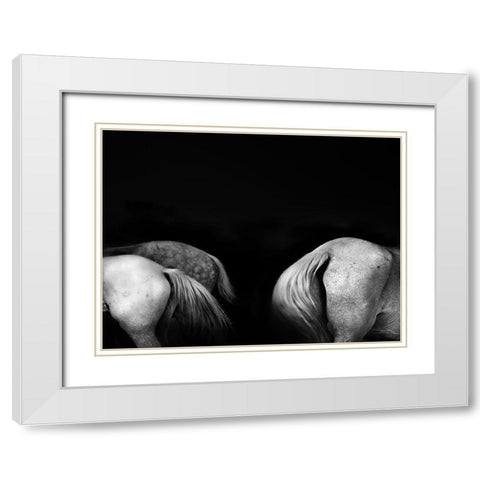 Tail ends White Modern Wood Framed Art Print with Double Matting by Wride, Linda