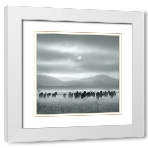 Toward the Sun White Modern Wood Framed Art Print with Double Matting by Yang, Shu-Guang