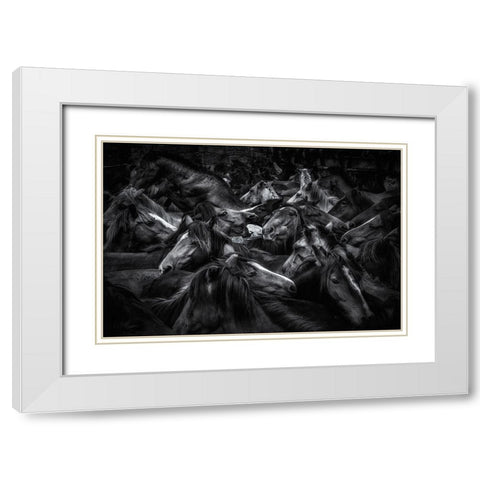 Acorralados White Modern Wood Framed Art Print with Double Matting by Maseda Varela, Alfonso