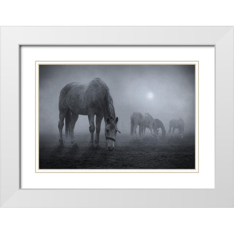 Moonlit White Modern Wood Framed Art Print with Double Matting by Malach, Samuel