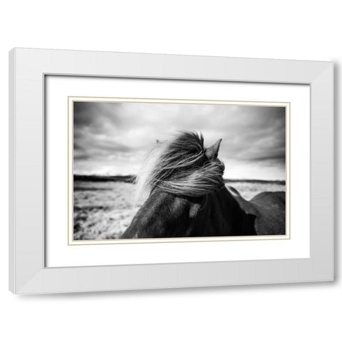 Iceland White Modern Wood Framed Art Print with Double Matting by Liesbeth