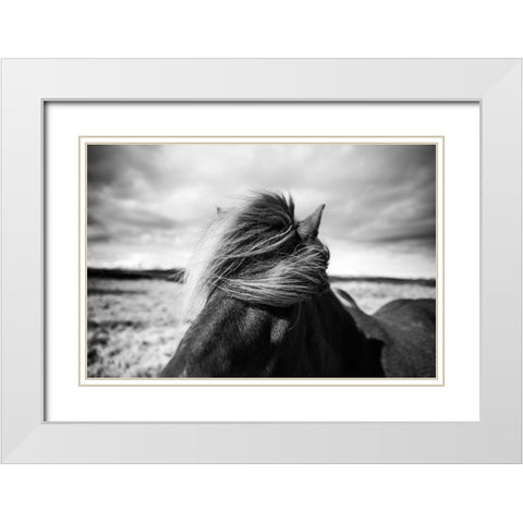 Iceland White Modern Wood Framed Art Print with Double Matting by Liesbeth