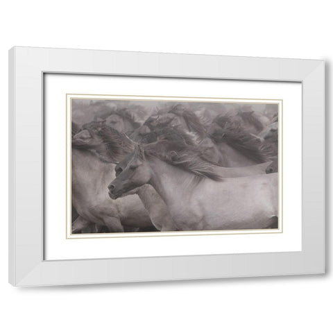 Wildhorses White Modern Wood Framed Art Print with Double Matting by Uhlig, Dieter