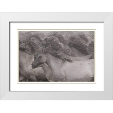 Wildhorses White Modern Wood Framed Art Print with Double Matting by Uhlig, Dieter