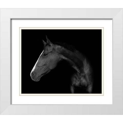 My horse White Modern Wood Framed Art Print with Double Matting by Kogel, Wieteke de