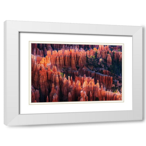 Bryce Canyon at Sunset White Modern Wood Framed Art Print with Double Matting by Austin