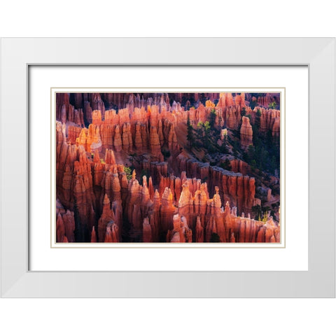 Bryce Canyon at Sunset White Modern Wood Framed Art Print with Double Matting by Austin