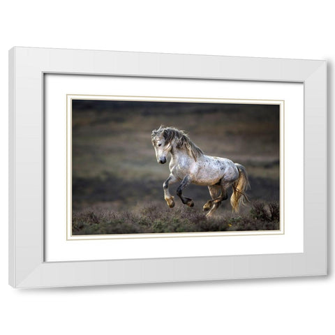 Wild Wild West White Modern Wood Framed Art Print with Double Matting by Verdon