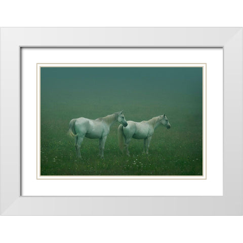 In the silent field White Modern Wood Framed Art Print with Double Matting by Khemkum, Ekkachai