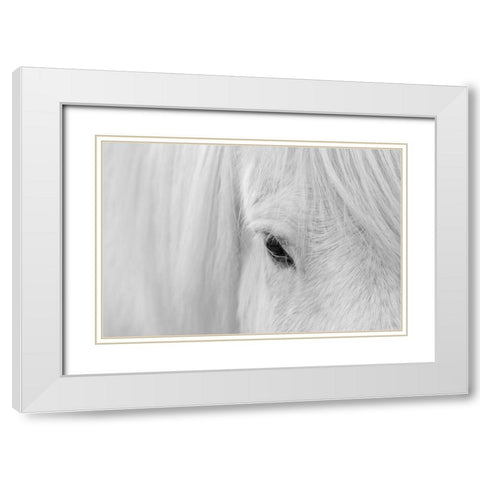 Whisper of Iceland White Modern Wood Framed Art Print with Double Matting by Fan, John