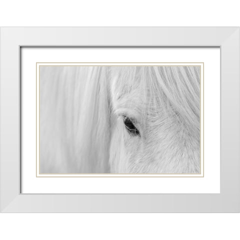 Whisper of Iceland White Modern Wood Framed Art Print with Double Matting by Fan, John