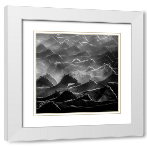 Horses White Modern Wood Framed Art Print with Double Matting by Nisan Kandilcioglu, Ummu