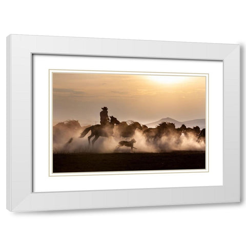 Noble Horses White Modern Wood Framed Art Print with Double Matting by Atabek, ismail