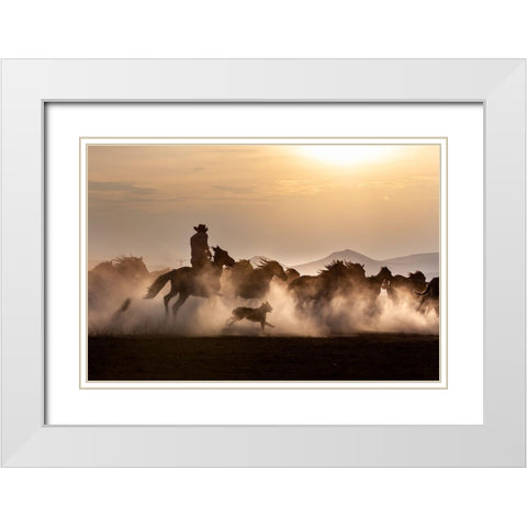 Noble Horses White Modern Wood Framed Art Print with Double Matting by Atabek, ismail