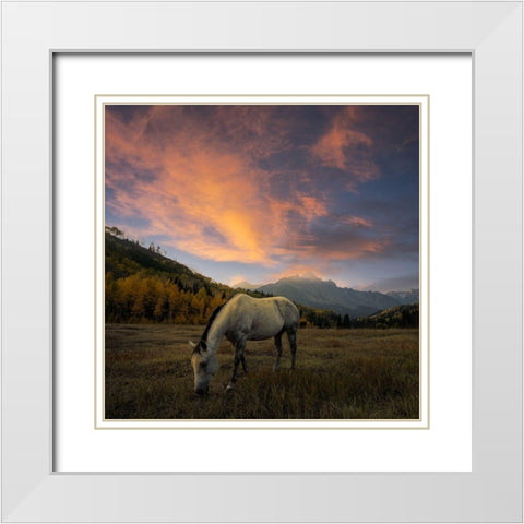 The Paradise White Modern Wood Framed Art Print with Double Matting by Fan, John