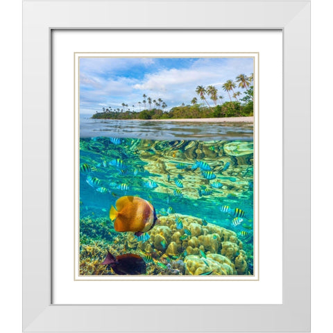 Coral and butterfly fish at Cadlao Island-Palawan-Philippines White Modern Wood Framed Art Print with Double Matting by Fitzharris, Tim