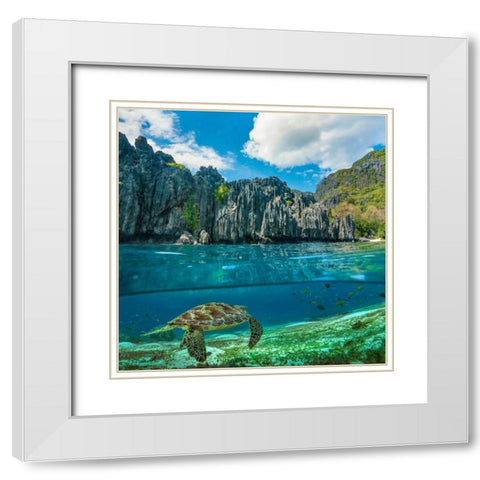 Green sea turtle and sharst cliffs near Secret Lagoon-Palawan-Philippines White Modern Wood Framed Art Print with Double Matting by Fitzharris, Tim