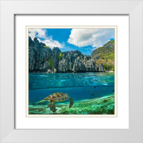 Green sea turtle and sharst cliffs near Secret Lagoon-Palawan-Philippines White Modern Wood Framed Art Print with Double Matting by Fitzharris, Tim