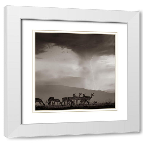 Impala and Lightning  Sepia White Modern Wood Framed Art Print with Double Matting by Fitzharris, Tim