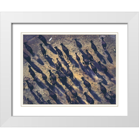 African buffalo stampede White Modern Wood Framed Art Print with Double Matting by Fitzharris, Tim