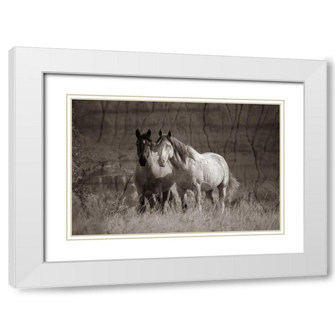 Wild horses Badlands Natl Park SD Sepia White Modern Wood Framed Art Print with Double Matting by Fitzharris, Tim