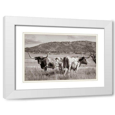 Longhorn cattle Sepia White Modern Wood Framed Art Print with Double Matting by Fitzharris, Tim