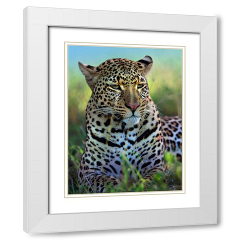 Leopard-Masai Mara Reserve-Kenya White Modern Wood Framed Art Print with Double Matting by Fitzharris, Tim