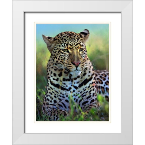 Leopard-Masai Mara Reserve-Kenya White Modern Wood Framed Art Print with Double Matting by Fitzharris, Tim