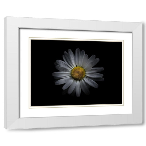 Backyard Flowers White 60 White Modern Wood Framed Art Print with Double Matting by Carson, Brian