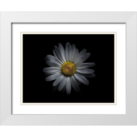 Backyard Flowers White 60 White Modern Wood Framed Art Print with Double Matting by Carson, Brian