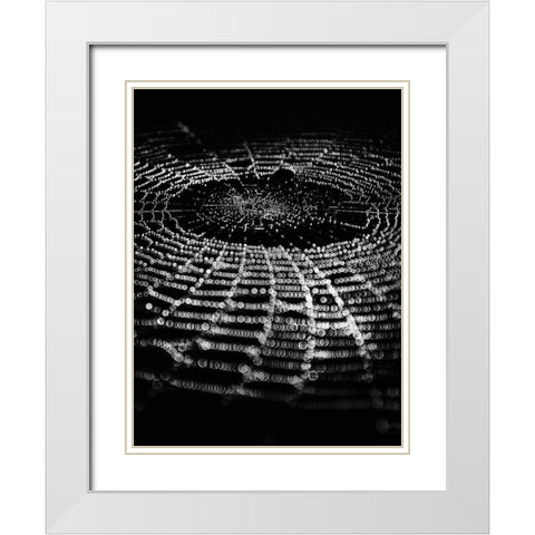 Spiderweb No 1 White Modern Wood Framed Art Print with Double Matting by Carson, Brian